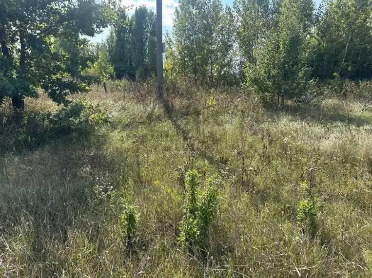 Продається ділянка під забудову в с.Тахтаулово! | Приват житло
