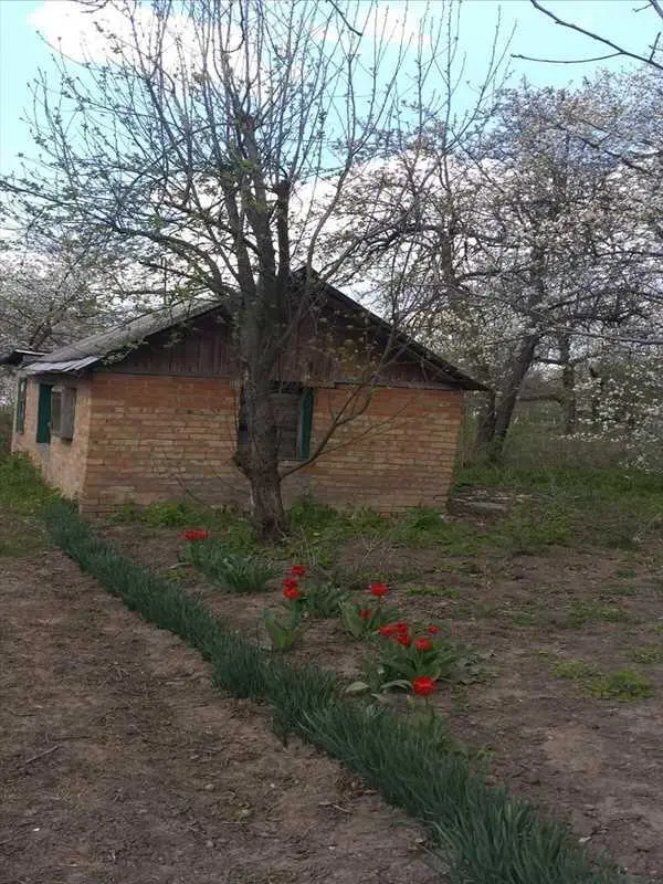 Продаем дешевый дачный дом, Полтава. | Приват житло