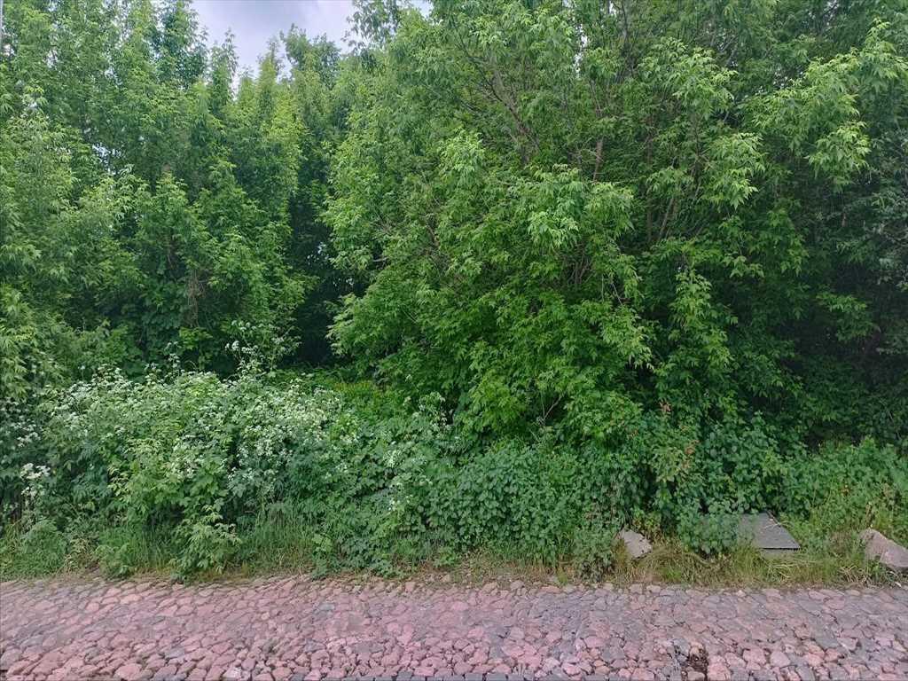 Видова ділянка в центральній частині міста | Приват житло