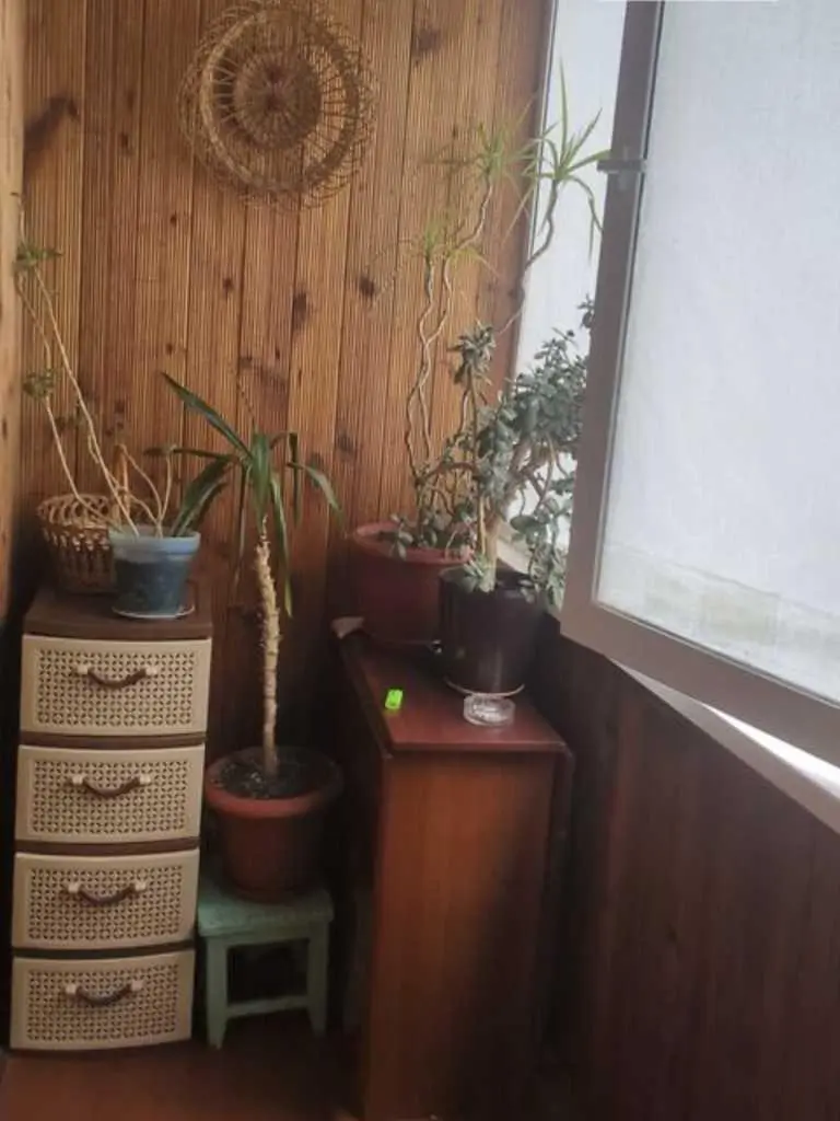 Продаж 3 кімнатної квартири на м-н Левада
 | Приват житло