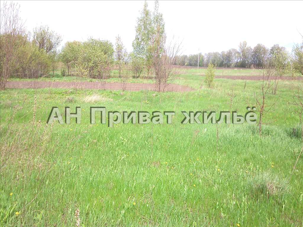 Купить участок | Приват житло