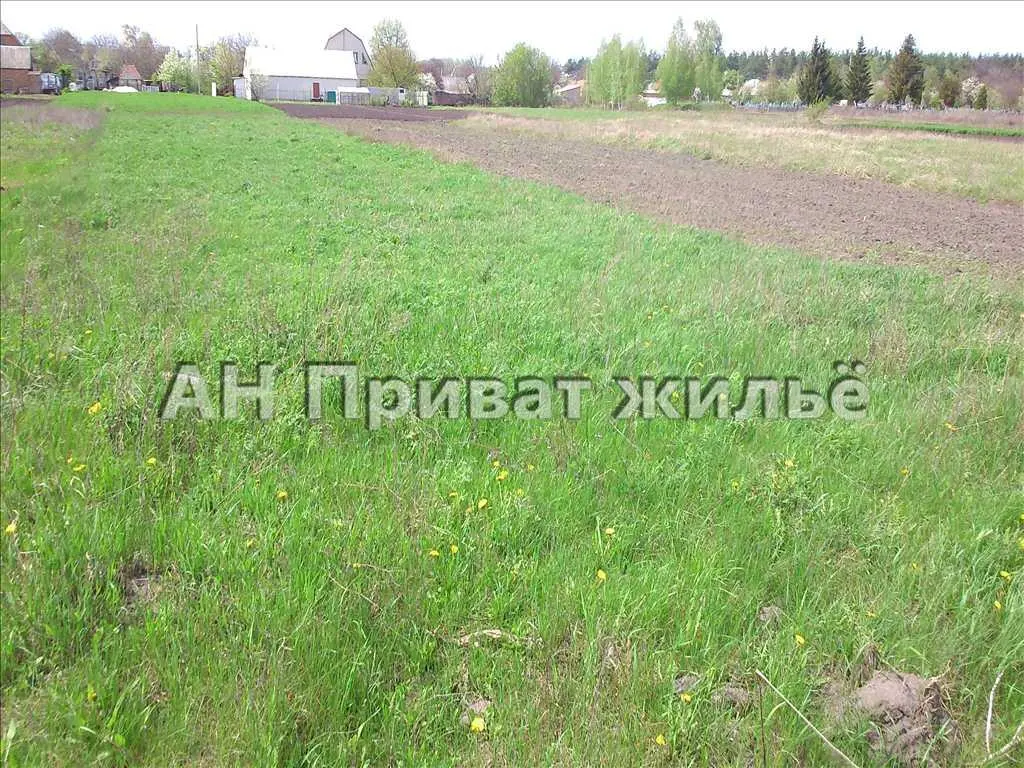 Продаем земельный участок. | Приват житло
