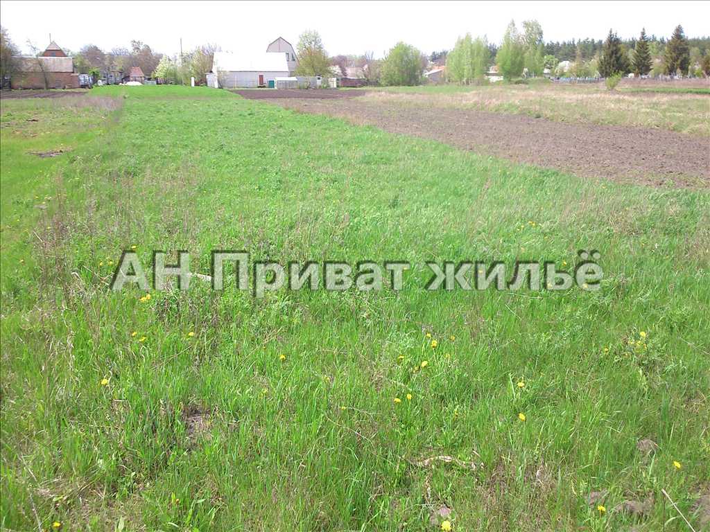 Продаем земельный участок. | Приват житло
