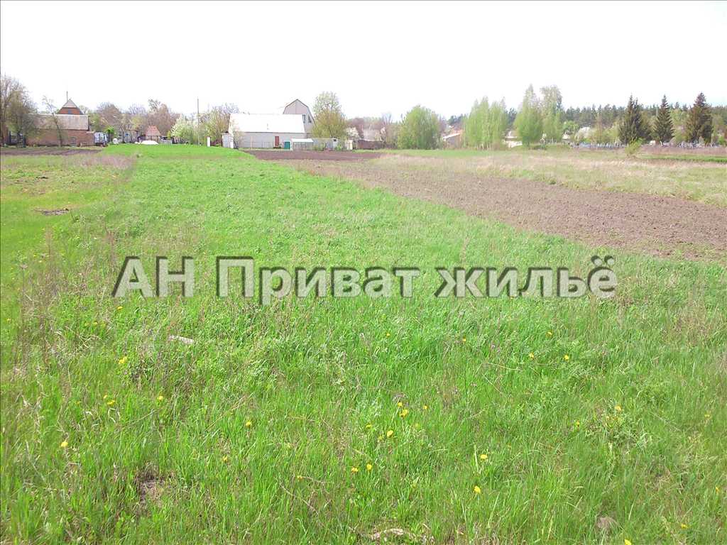 Продаем земельный участок. | Приват житло