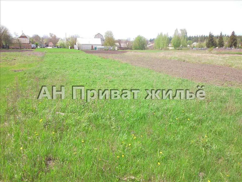 Продаем земельный участок. | Приват житло