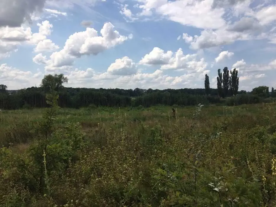 Земельна ділянка в Патлаївці. Полтава! | Приват житло