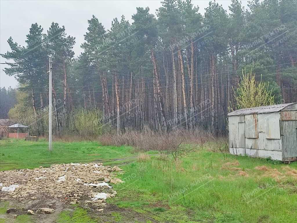 Земельна ділянка з виходом до соснового лісу.  | Приват житло