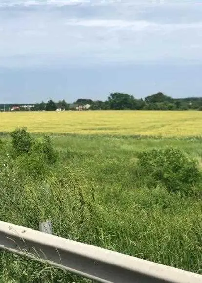 Земельна ділянка 2.8 га вздовж траси Київ-Харків | Приват житло