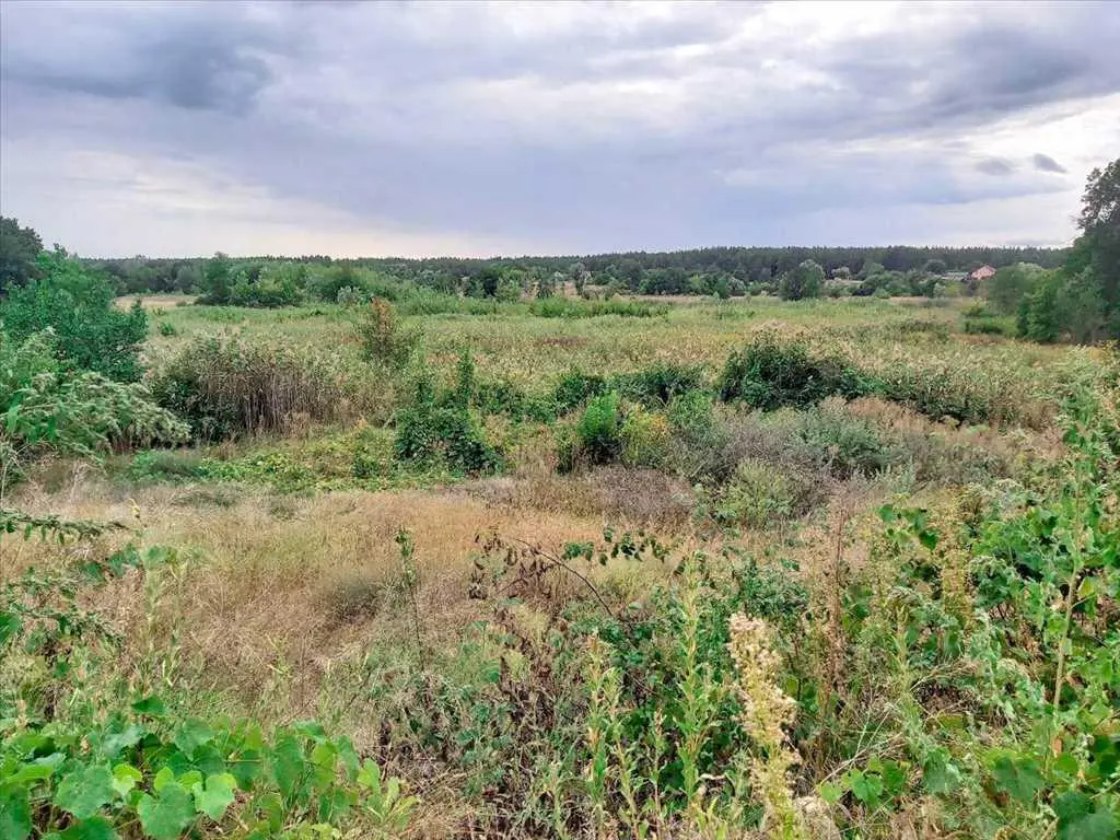 Ділянка в Новоселівці | Приват житло