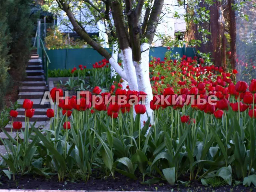 Будинок 230м.кв.у центральній частині міста. | Приват житло