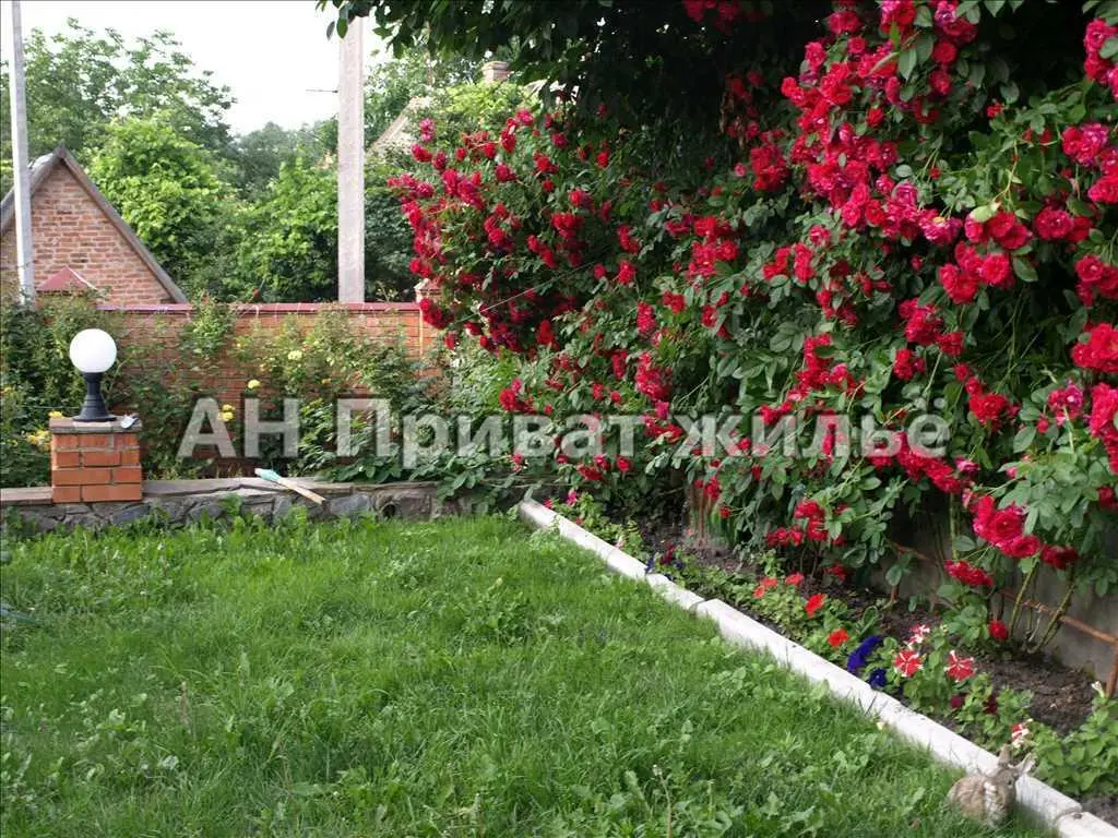 Будинок 230м.кв.у центральній частині міста. | Приват житло