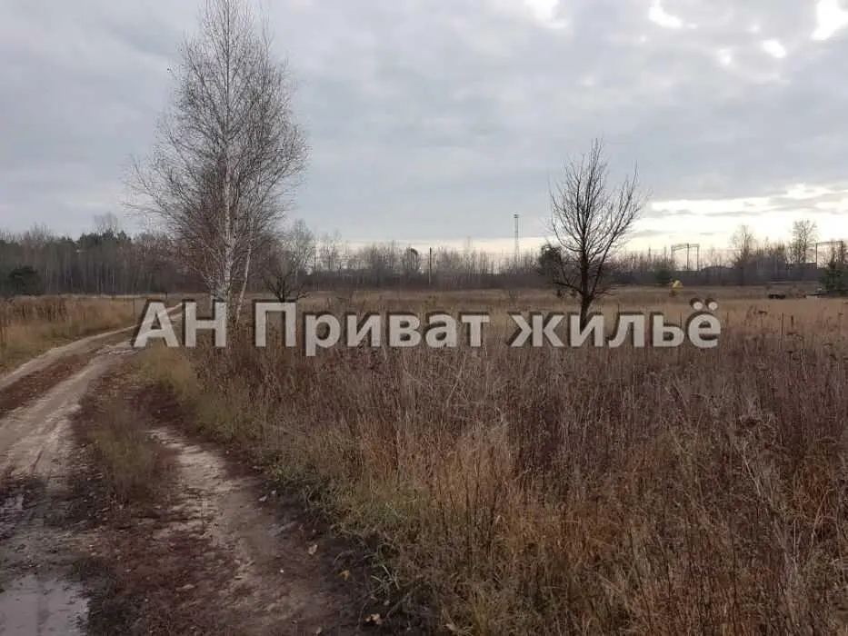 Земельна ділянка в Терентіївці | Приват житло