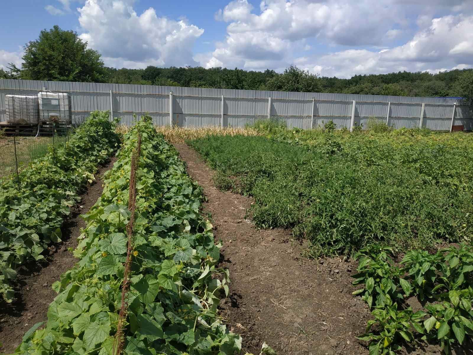 Добротний будинок під бізнес в Жуках | Приват житло