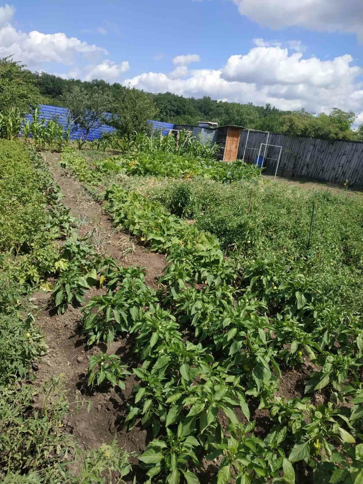 Добротний будинок під бізнес в Жуках | Приват житло