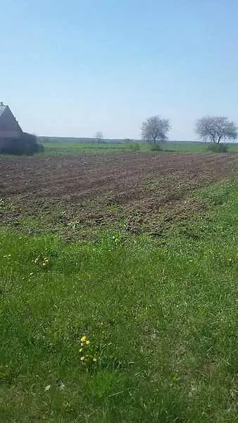 Земельна ділянка в Гожулах | Приват житло