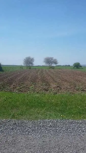 Земельна ділянка в Гожулах | Приват житло