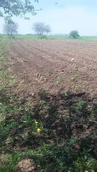 Земельна ділянка в Гожулах | Приват житло