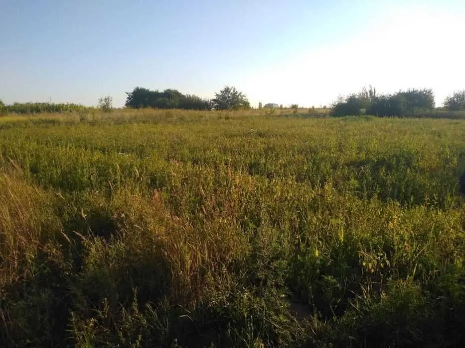 Земельна ділянка в Гожулах | Приват житло