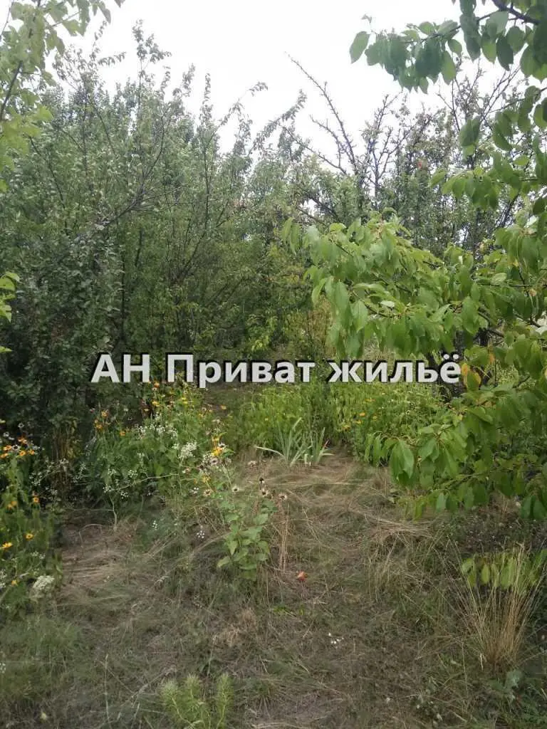 Отличный участок в Коломацком! | Приват житло