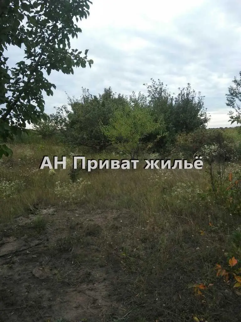 Отличный участок в Коломацком! | Приват житло