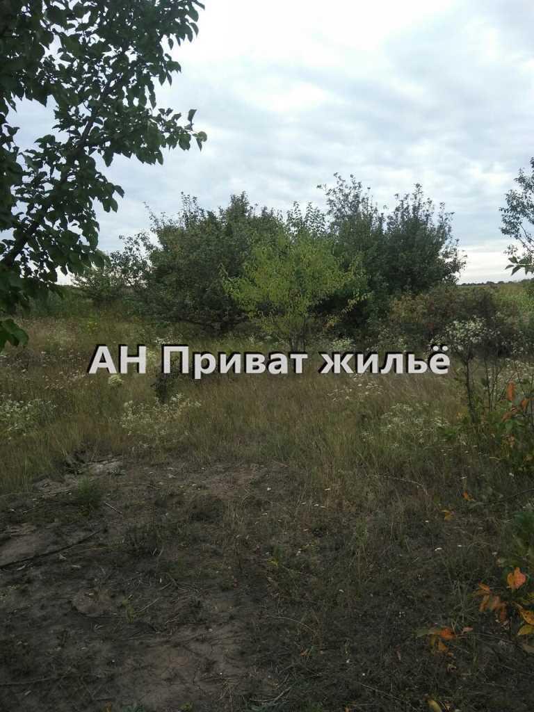 Отличный участок в Коломацком! | Приват житло
