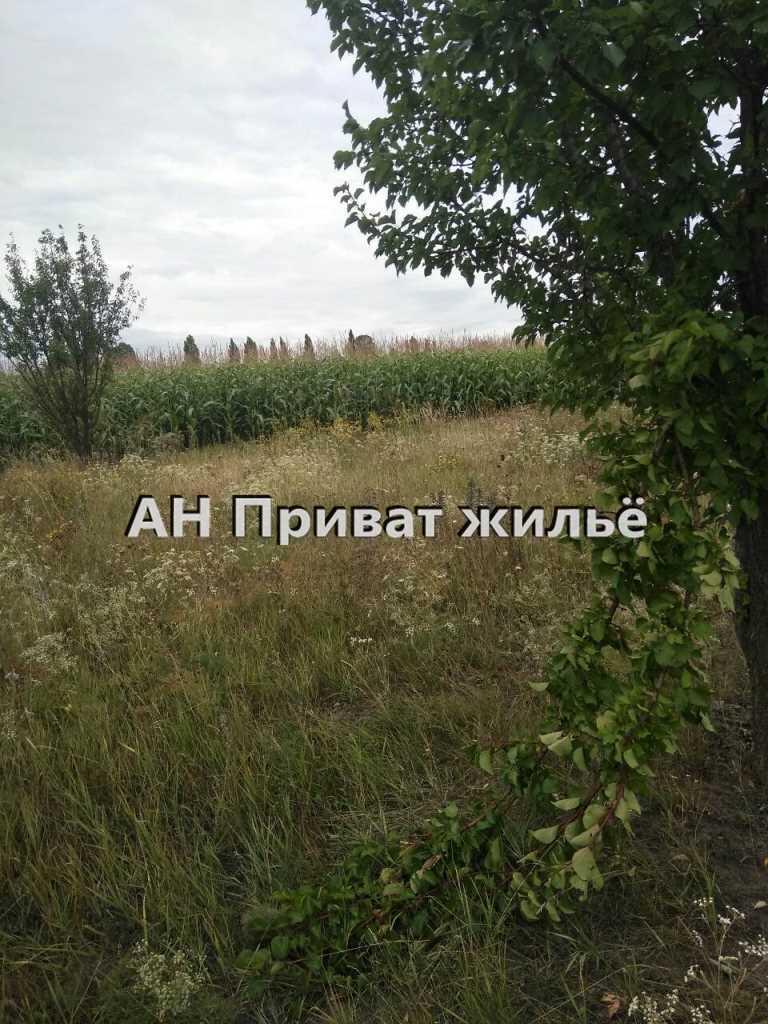 Отличный участок в Коломацком! | Приват житло