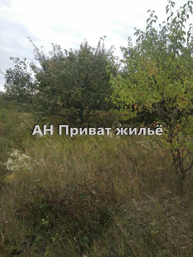 Отличный участок в Коломацком! | Приват житло