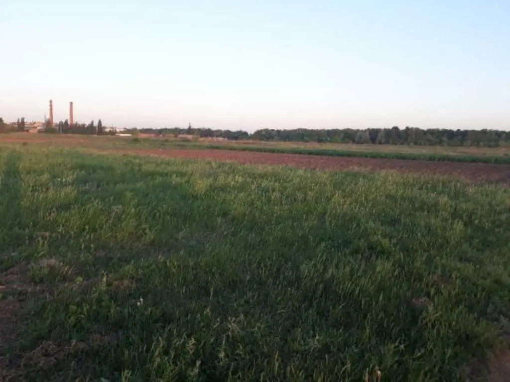 Земельна ділянка під будівництво Вашого будинку | Приват житло