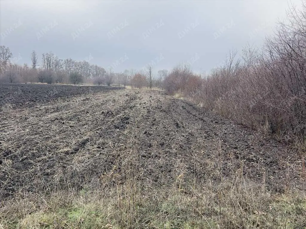 Земельна ділянка під забудову 10 км від Полтави | Приват житло