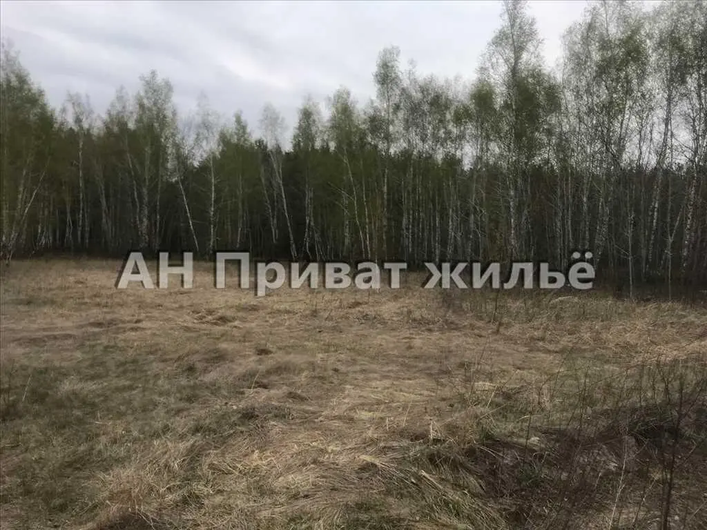 Мальовнича земельна ділянка поруч з сосновим лісом. | Приват житло