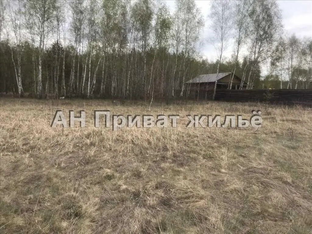 Мальовнича земельна ділянка поруч з сосновим лісом. | Приват житло