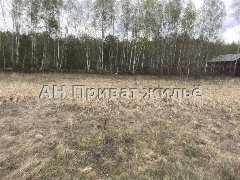 Мальовнича земельна ділянка поруч з сосновим лісом. | Приват житло