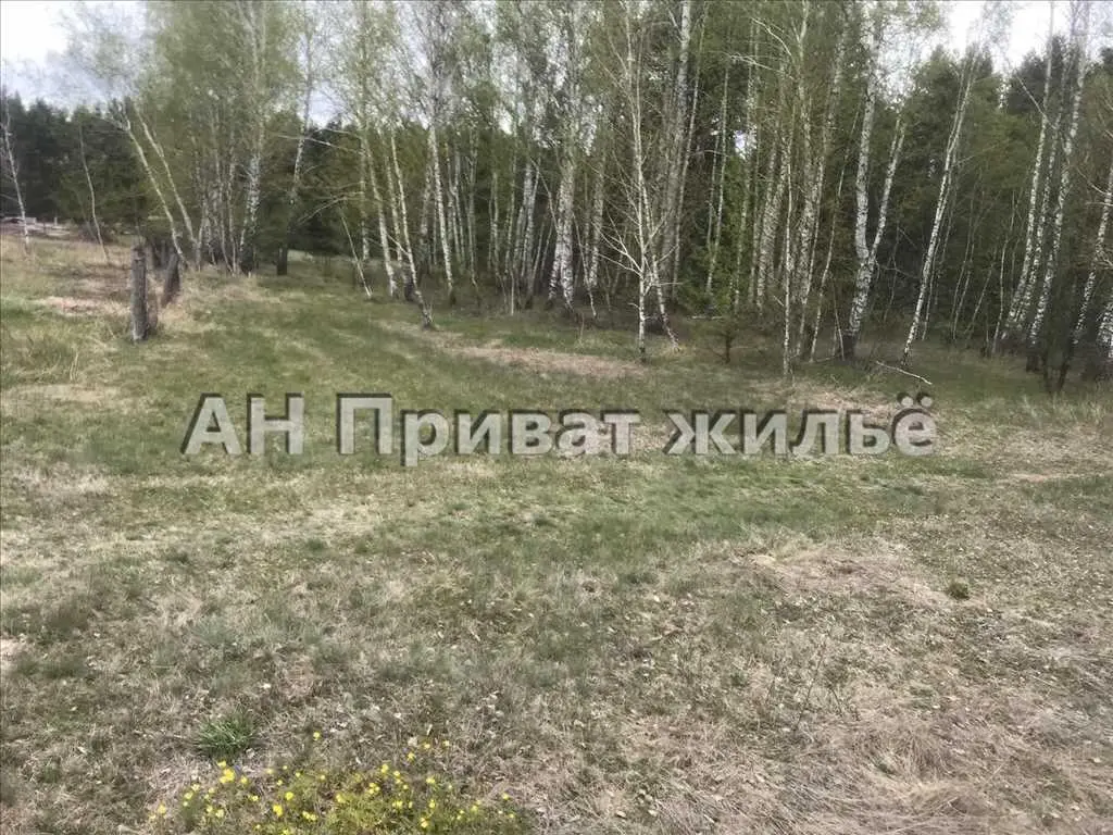 Мальовнича земельна ділянка поруч з сосновим лісом. | Приват житло