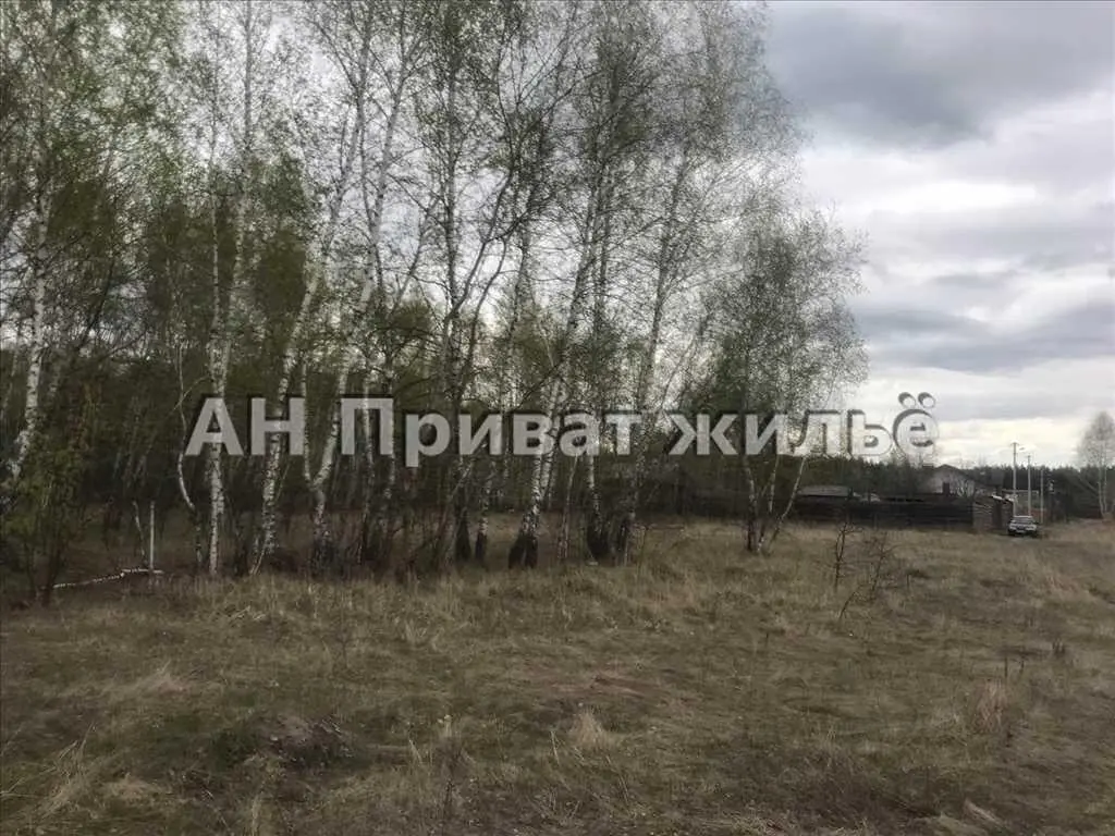 Мальовнича земельна ділянка поруч з сосновим лісом. | Приват житло