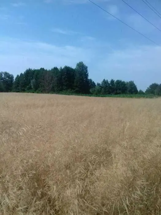 Земельна ділянка в Сем