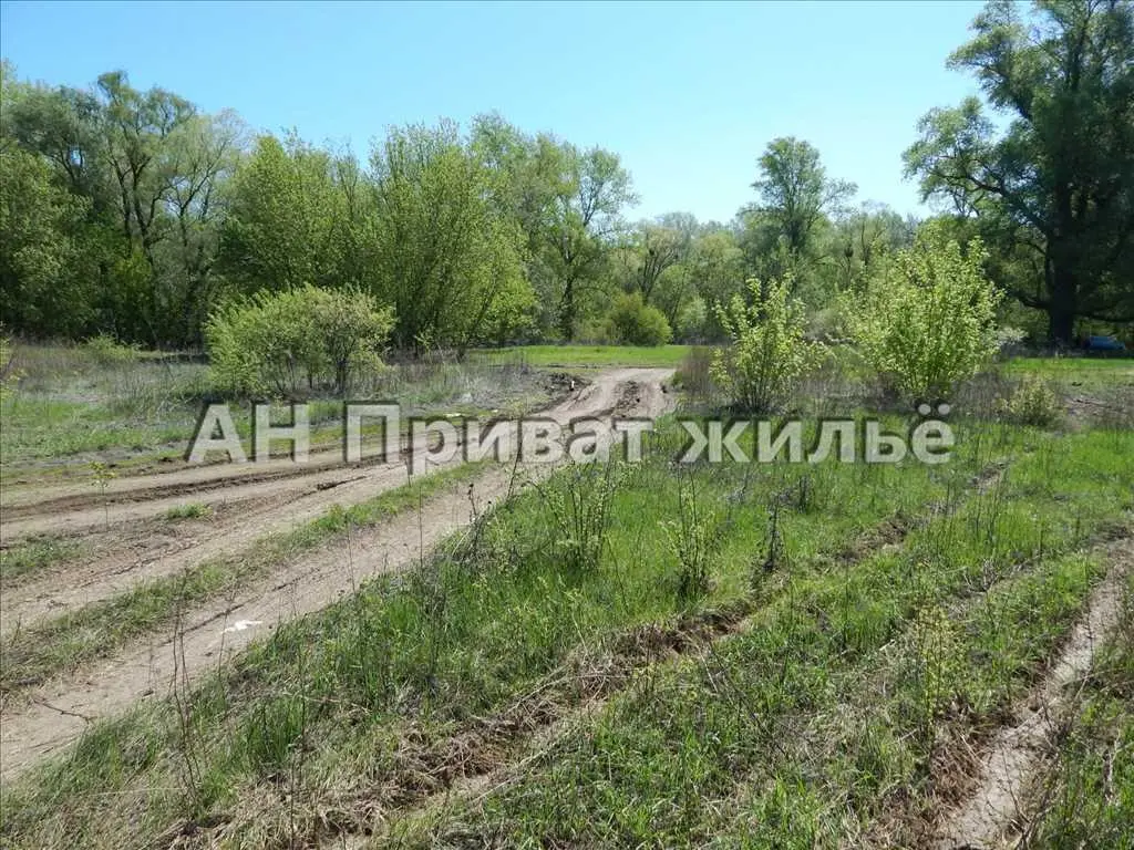  Ділянка на околиці Нижніх Млинів по дорозі на базу Сенегал | Приват житло