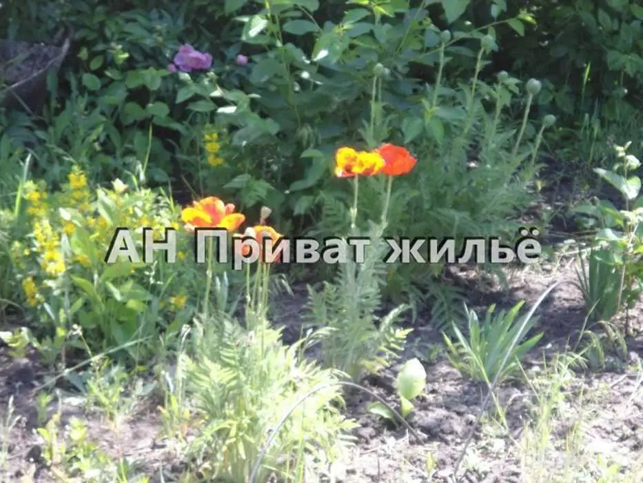 Земельна ділянка в Терешках, річка поряд.  | Приват житло