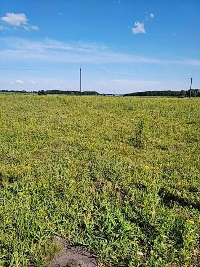 Продам участок землі під забудову в Ковалывці | Приват житло