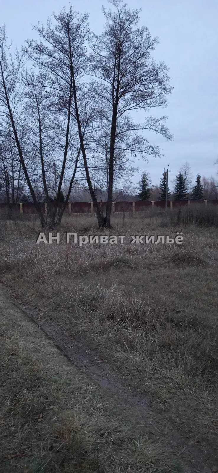 Верхоли. Земельна ділянка. Таких немає. | Приват житло