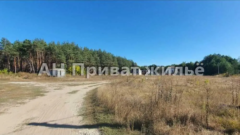 Ділянка з видом на сосновий ліс, Вакуленці | Приват житло