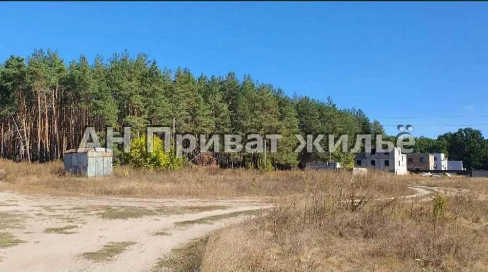 Ділянка з видом на сосновий ліс, Вакуленці | Приват житло