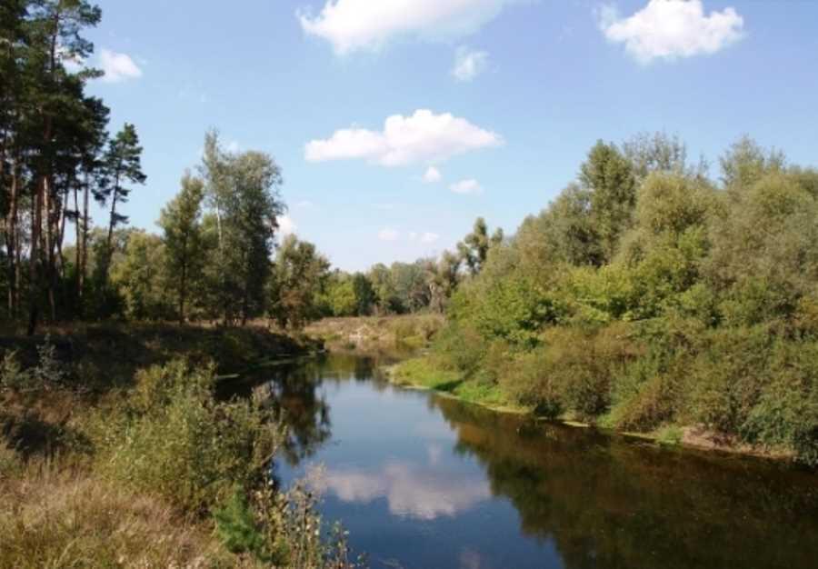 Земельна ділянка в Петрівці | Приват житло