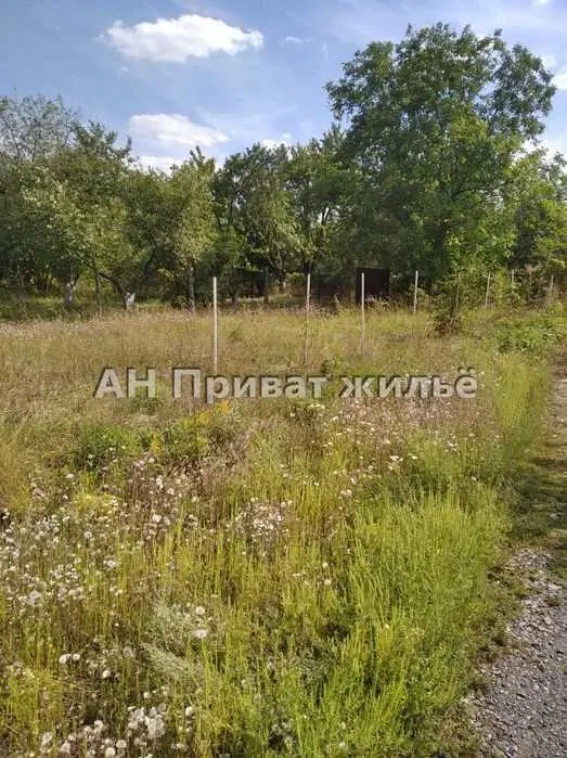 Продається земельна ділянка в Рибцях | Приват житло
