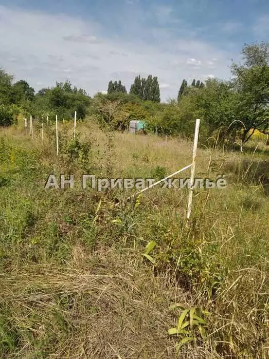 Продається земельна ділянка в Рибцях | Приват житло