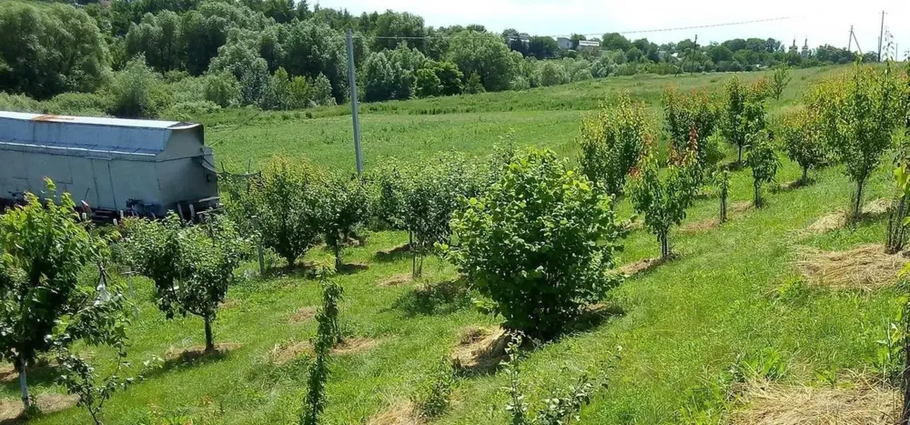 Продам отличный земельный участок в Щербанях | Приват житло