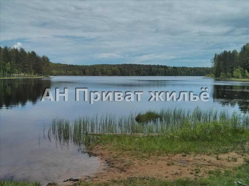 Земельный участок возле водоема для дачного дома.  | Приват житло