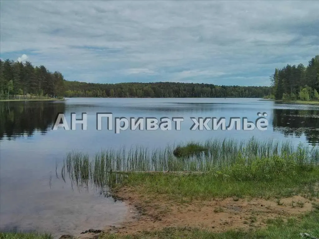 Земельный участок возле водоема для дачного дома.  | Приват житло