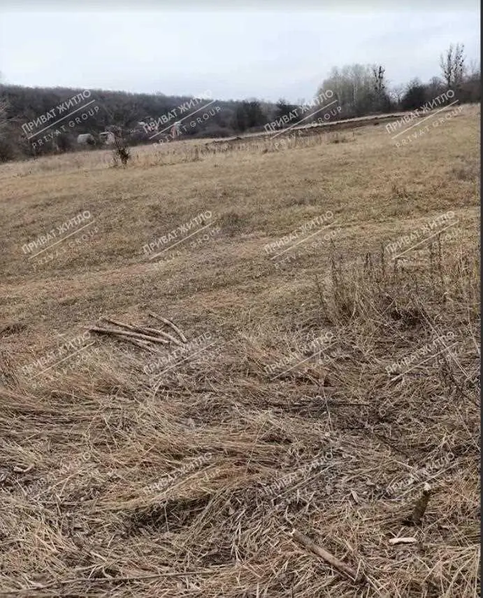 Дачный участок в Нижних Млынах. | Приват житло