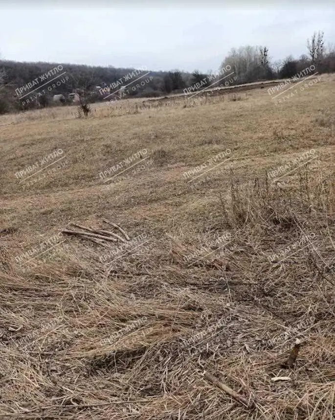 Дачный участок в Нижних Млынах. | Приват житло