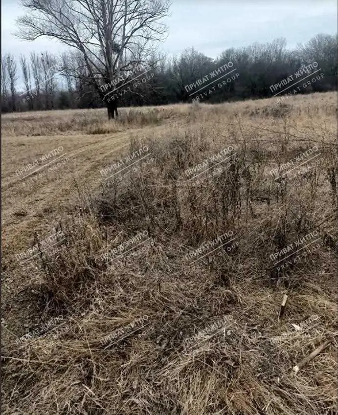 Дачный участок в Нижних Млынах. | Приват житло